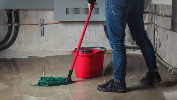Best Mold removal after water damage  in Burnham, PA