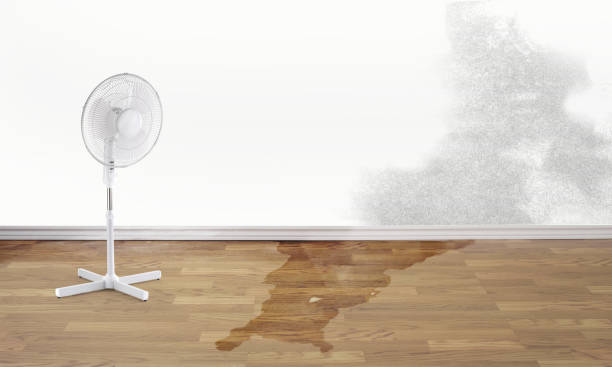 Best 24/7 water damage repair  in Burnham, PA