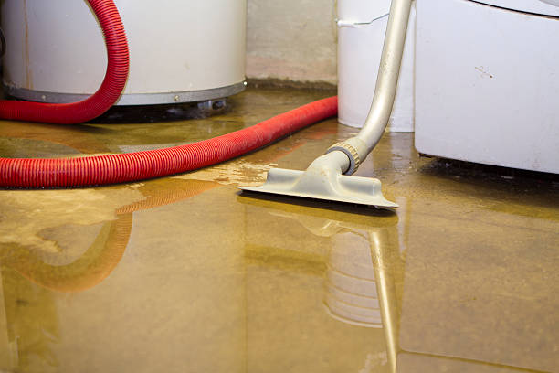 Best 24-hour water damage restoration  in Burnham, PA
