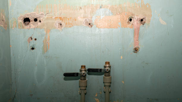 Best Sewage cleanup and water damage restoration  in Burnham, PA