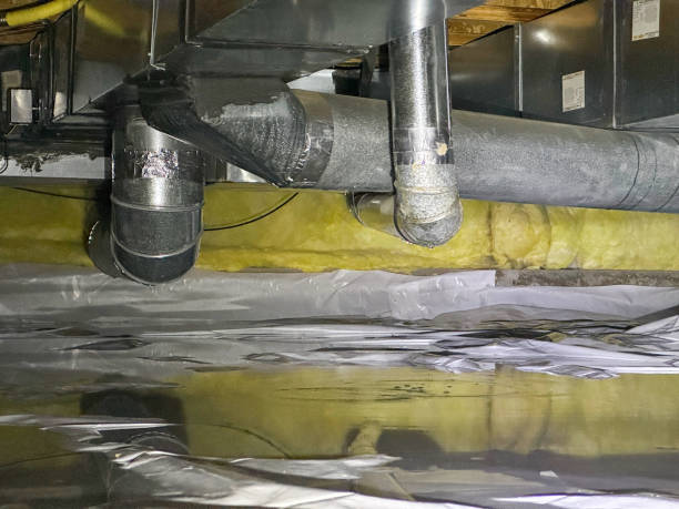 Best Water damage cleanup near me  in Burnham, PA