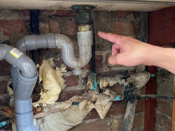 Best Professional water damage repair  in Burnham, PA